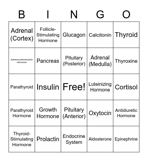 Endocrine System Bingo Card