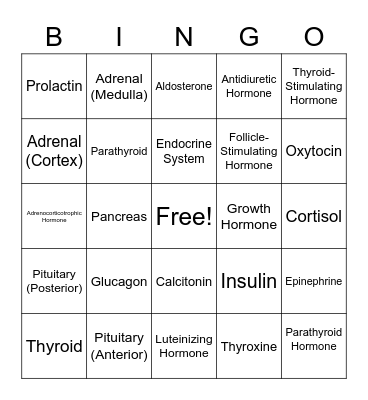 Endocrine System Bingo Card