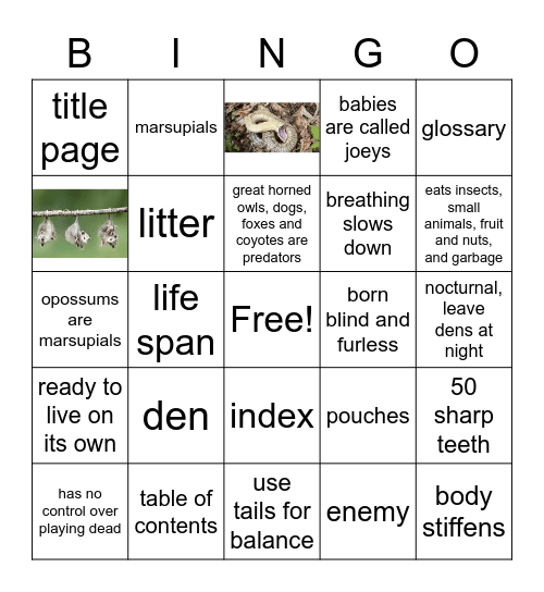 Opposum facts and Nonfiction Features Bingo Card