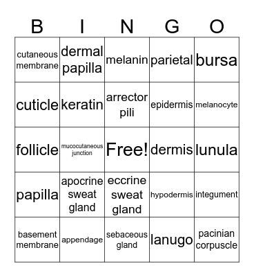 Integumentary System Bingo Card