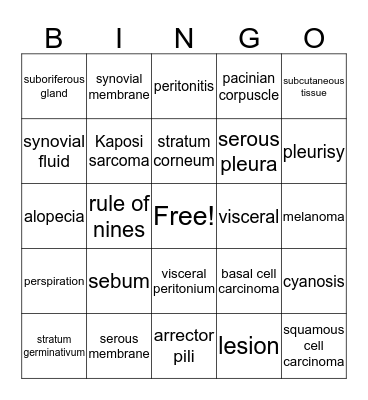 Integumentary System Bingo Card