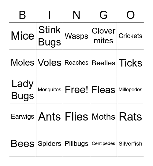 Bugging Out Bingo Card