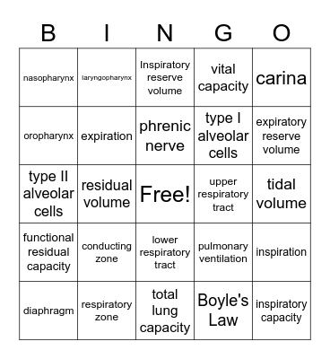 Unit 17 Bingo Card