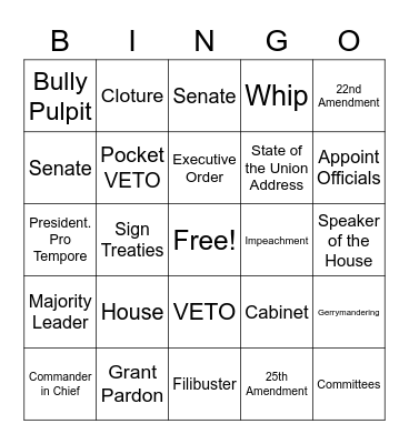 Legislative and Executive Branch Bingo Card