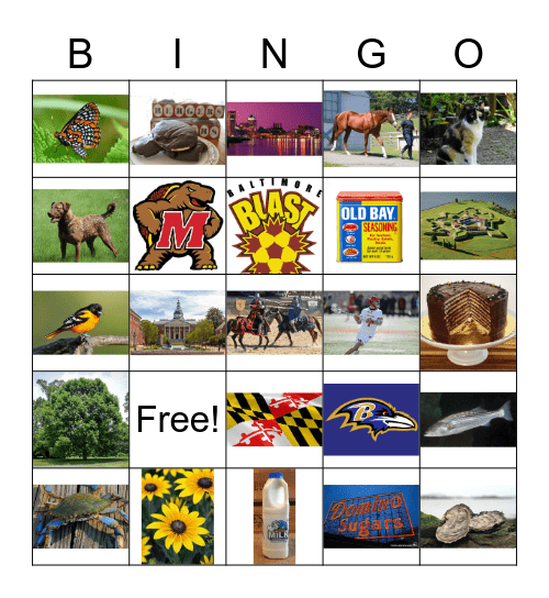 Maryland Bingo Bingo Card