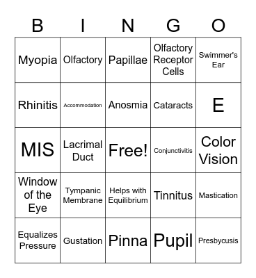 Special Senses Bingo Card