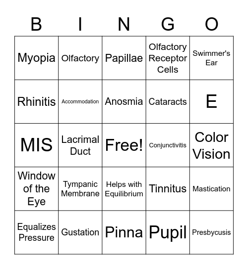 Special Senses Bingo Card