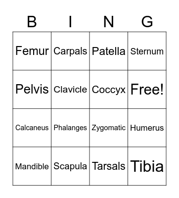 Skeletal System Bingo Card