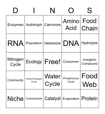 Biology Chapter 3 Bingo Card