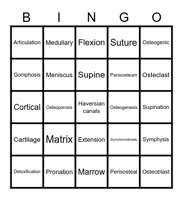 Skeletal System Terms Bingo Card