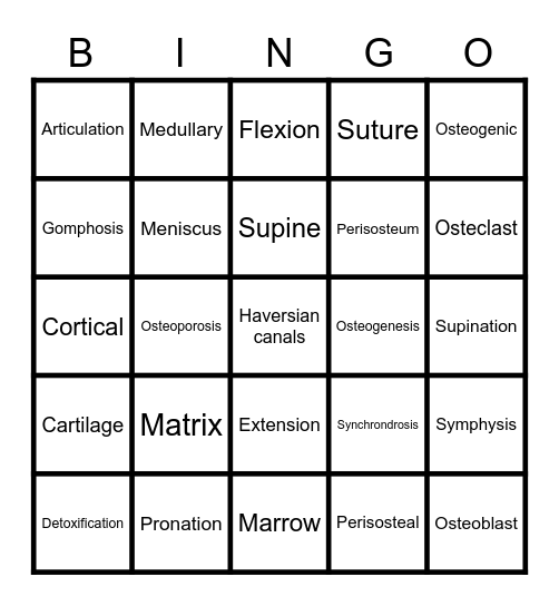 Skeletal System Terms Bingo Card