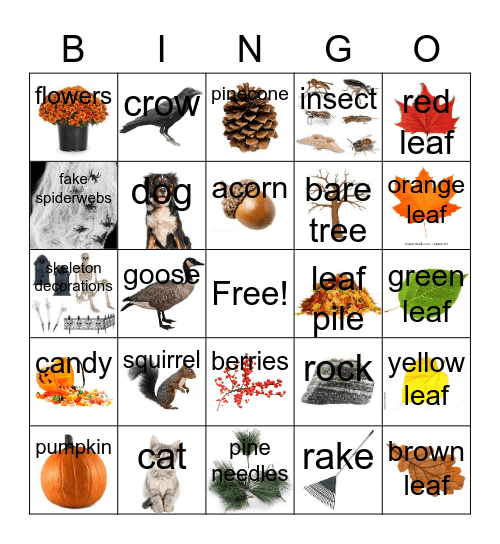 Fall Bingo- Get 5 in a row! Bingo Card