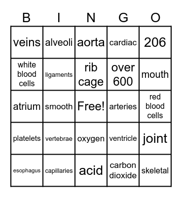 Human Body Bingo! Bingo Card