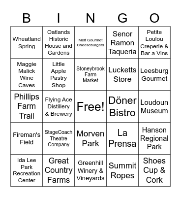 Loudoun County Bingo Card