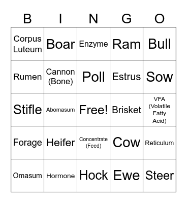 Animal Science BINGO Card