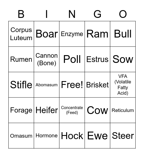 Animal Science BINGO Card