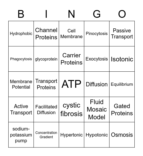 Unit 3 Membrane Transport Bingo Card