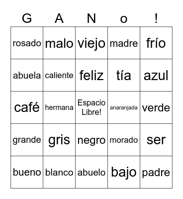 Spanish 1 Bingo Card