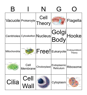 Cell Parts Bingo Card