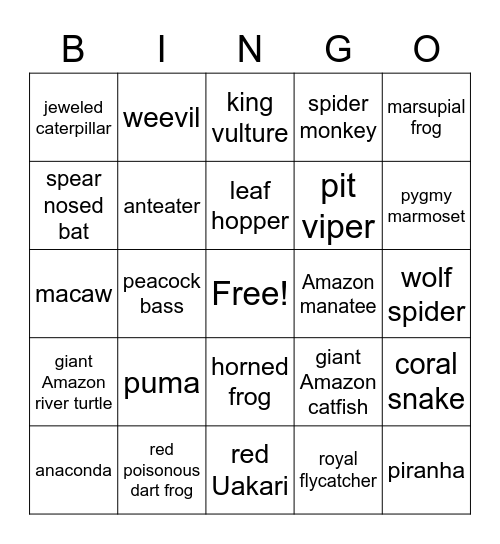 Animals of the Amazon Bingo Card