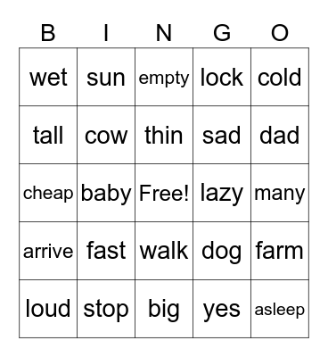 antonymns Bingo Card