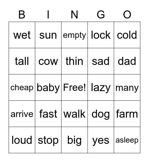 antonymns Bingo Card