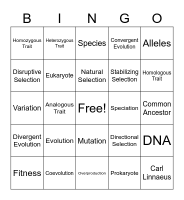 Unit 3: Evolution Bingo Card