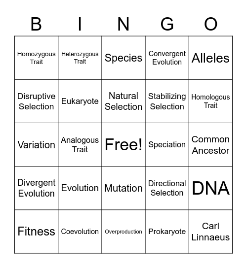 Unit 3: Evolution Bingo Card