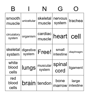 Science Vocabulary Bingo Card