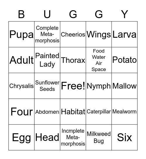 Buggy Bingo Card