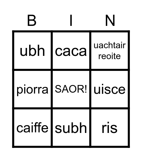 BIA Bingo Card