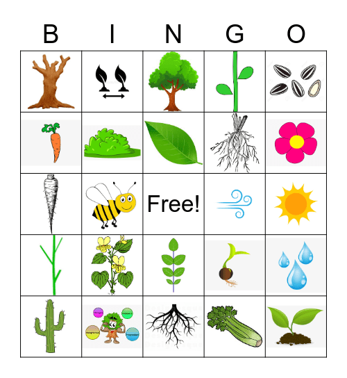 Plant Bingo Card