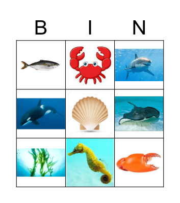 Sea Vocabulary Bingo Card