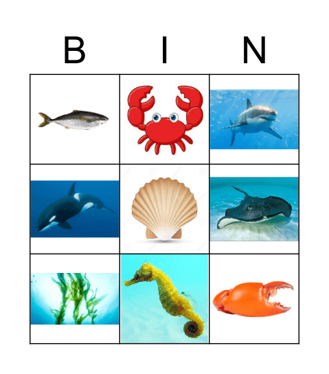 Sea Vocabulary Bingo Card