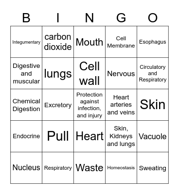 Body Systems part 2 2022 Bingo Card