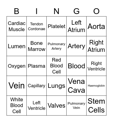 Circulatory System Bingo Card
