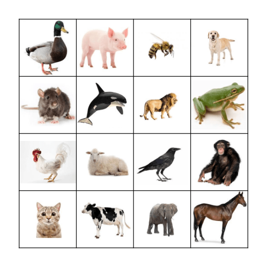 Animal Sounds Bingo Card