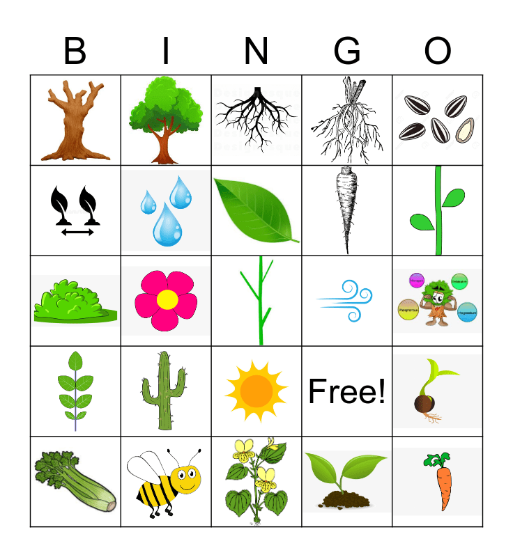 Plant Bingo Card