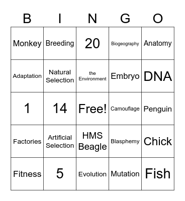 Evolution Bingo Card