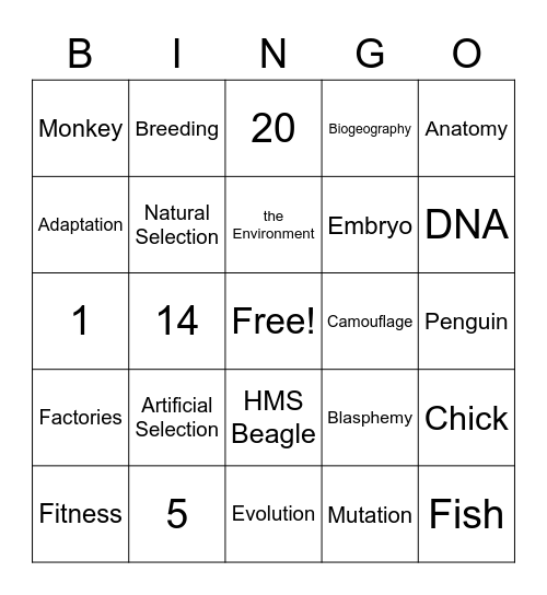 Evolution Bingo Card