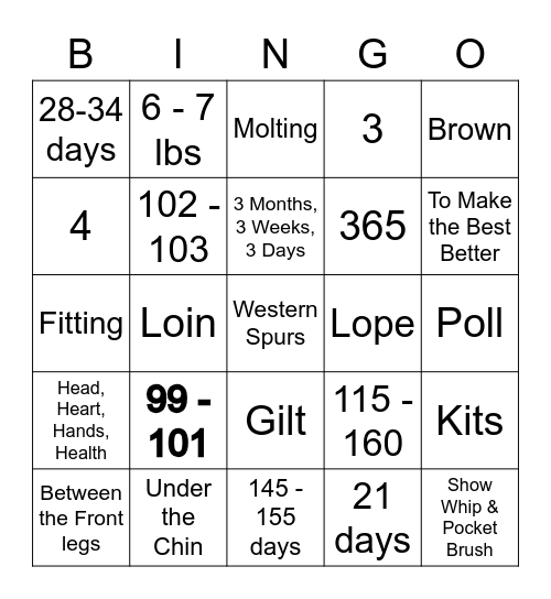 How Much Do You Know Bingo Card