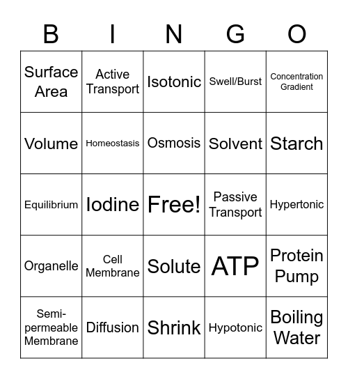 Cell Transport Bingo Card