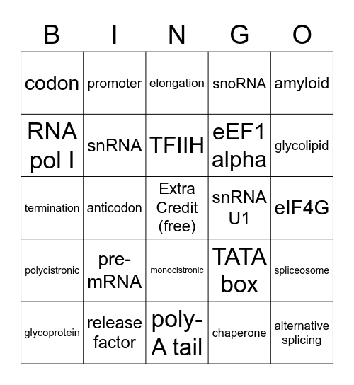 Exam 3 Bingo Card