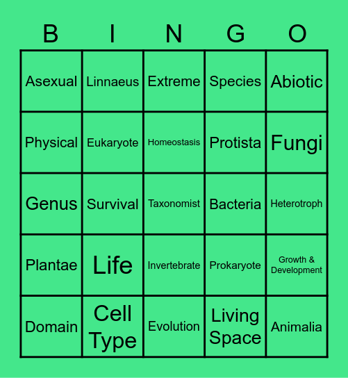 Introduction to Life Bingo Card