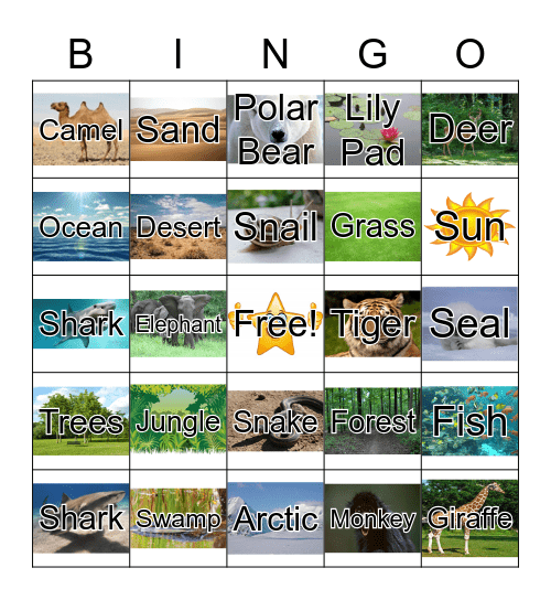 Animals & Habitats Bingo Card