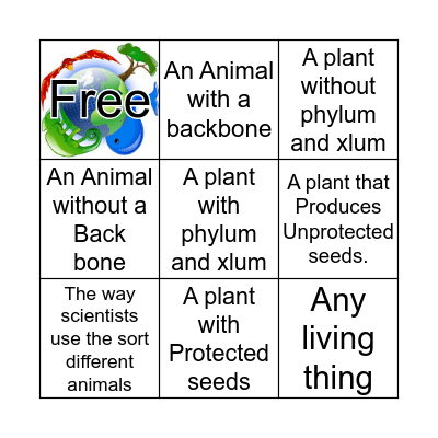 Classification Bingo Card