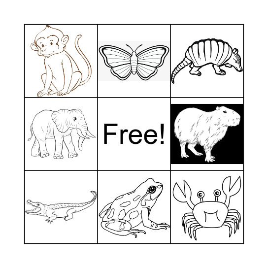 ANIMALS Bingo Card