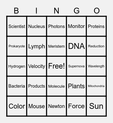 NSTW Bingo Card