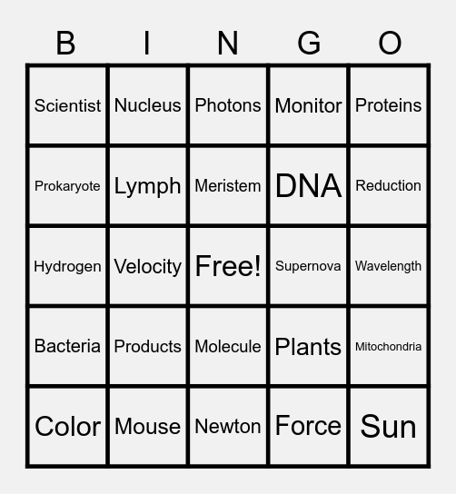 NSTW Bingo Card