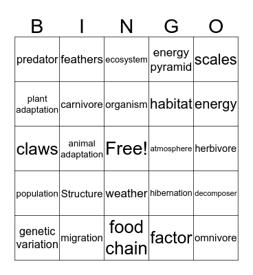 Ecosystem Bingo Card